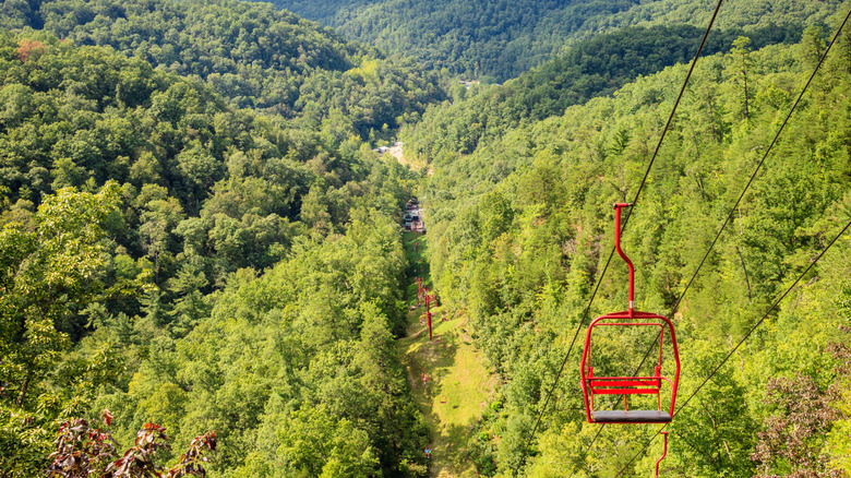 Landscape of the Skylift at Natural Bridge State Resort Park