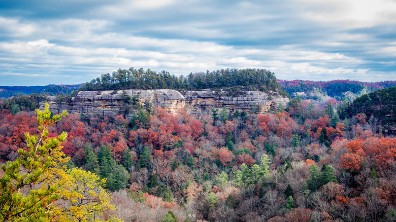 View from the Auxier Ridge Trail