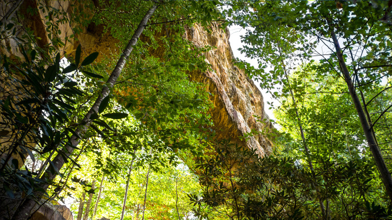 Natural Bridge near Slade