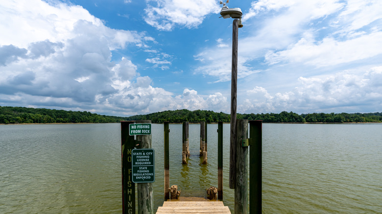 View of Freeman Lake with blue sky and fluffy clouds