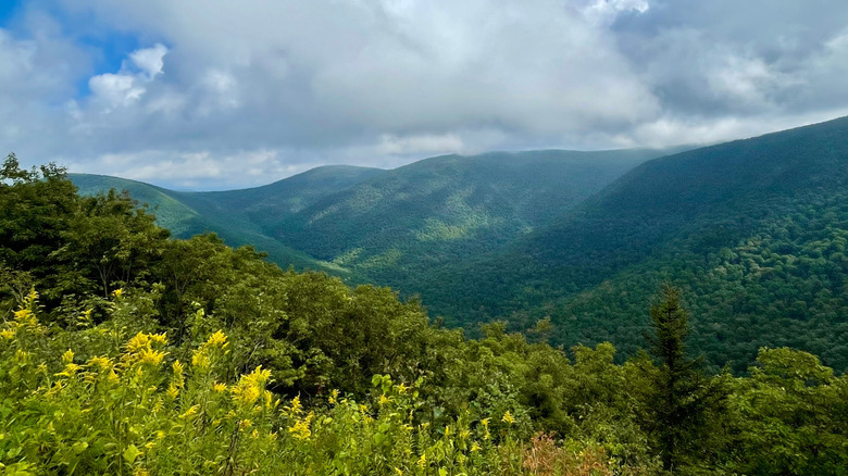 Mountains in The Berkshires