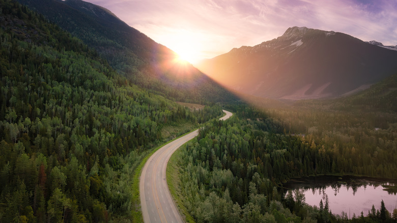 Road near Mount Revelstoke in British Columbia Canada