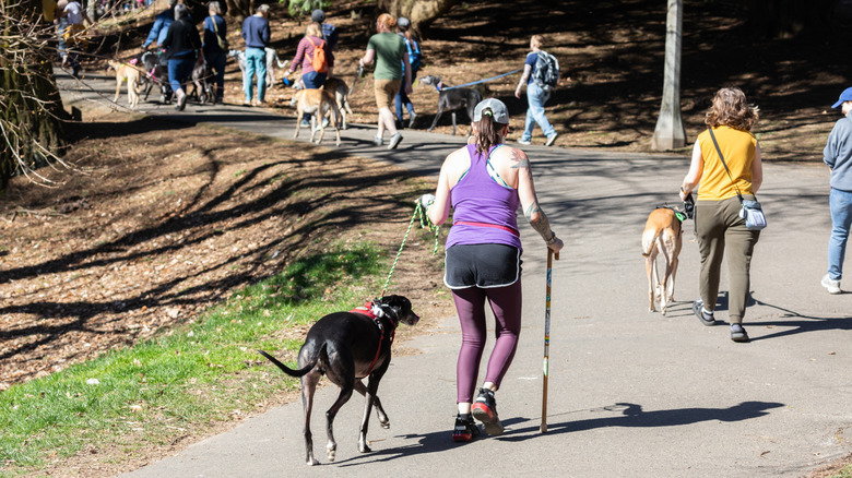 People walking at Laurelhurst Park in Portland, Oregon