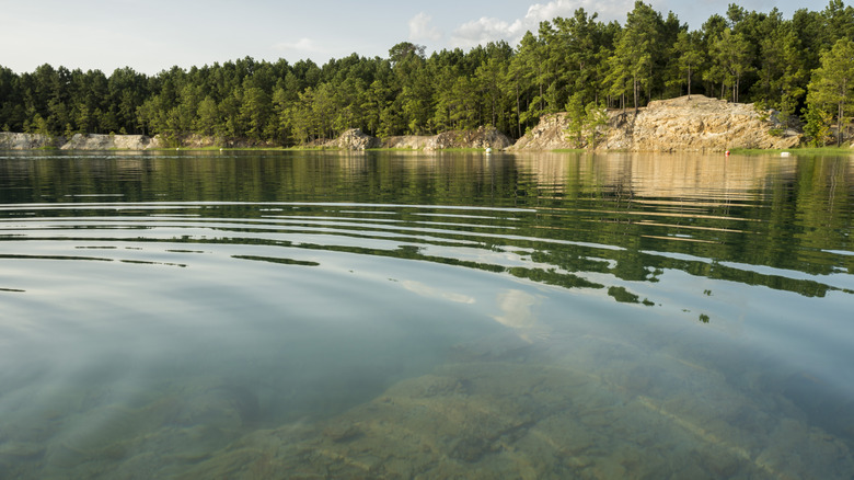 Blue Lagoon in Huntsville, Texas fringed by pine trees