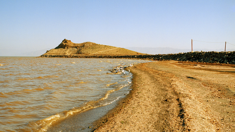 Rock Hill area of Sonny Bono Salton Sea Wildlife Refuge