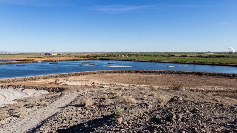 Sonny Bono Salton Sea Wlidlife Refuge