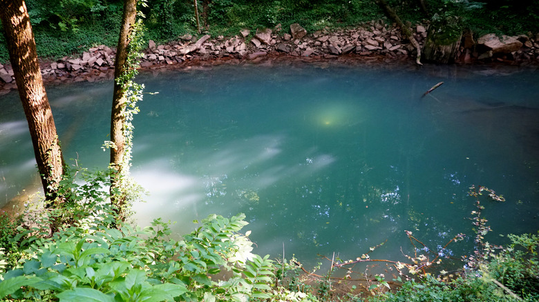 A blue swimming hole near Lost River Cave, Kentucky