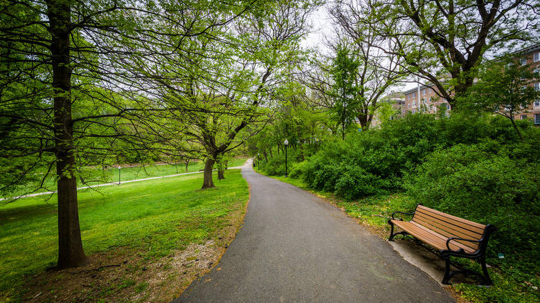 Wyman Park Dell, in Baltimore, Maryland