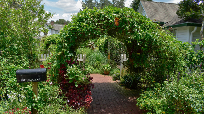 Entrance to Harry P Leu Gardens with vines