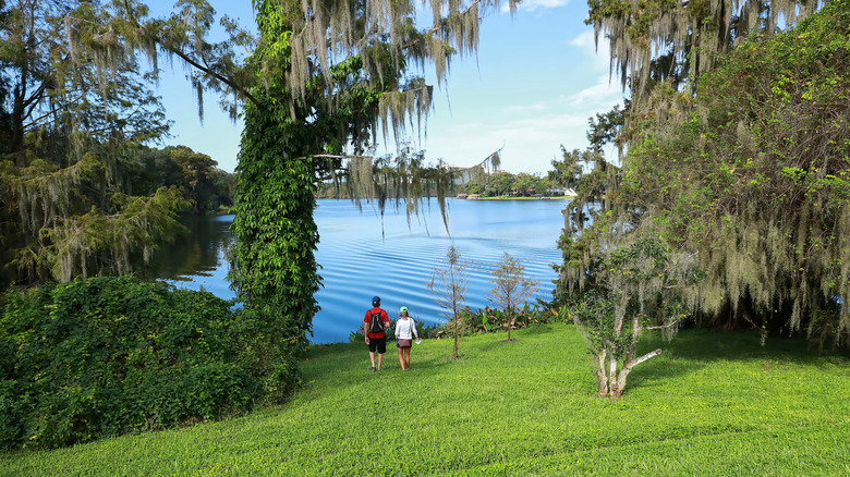 A couple walking to the edge of a lake in Harry P. Leu Gardens Orlando