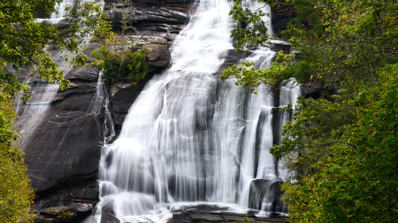 A long-exposure shot of water cascading down black rock surrounded by trees