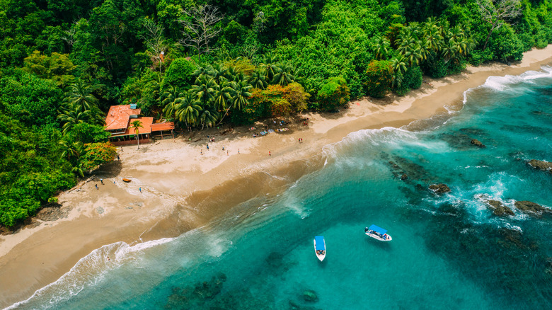 Lush jungle beach on Caño Island with cabin and boats on the water.