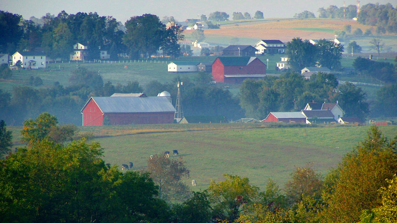 Amish homes and farmland in Ohio