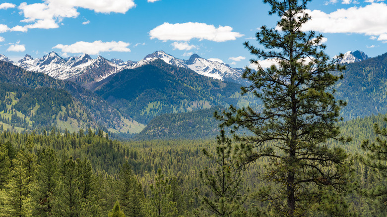 Mountain view from the Ponderosa Pine Scenic Byway leading to Idaho City