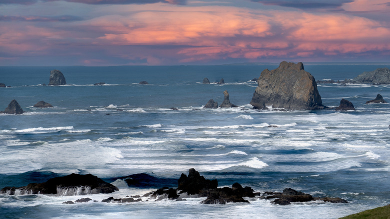 The ocean and rocky beach at Cape Blanco State Park