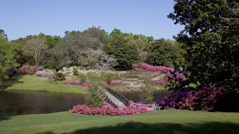 Bellingrath Gardens and Home, Alabama, in sunlight