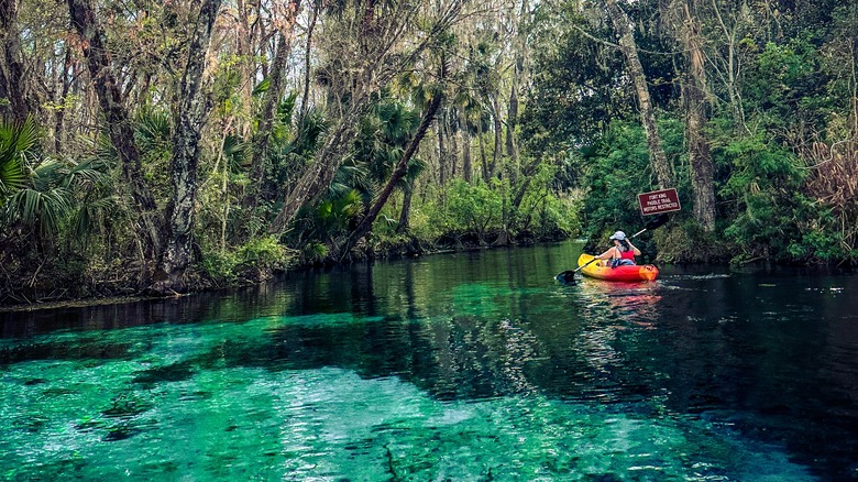 A kayaker in Silver Springs