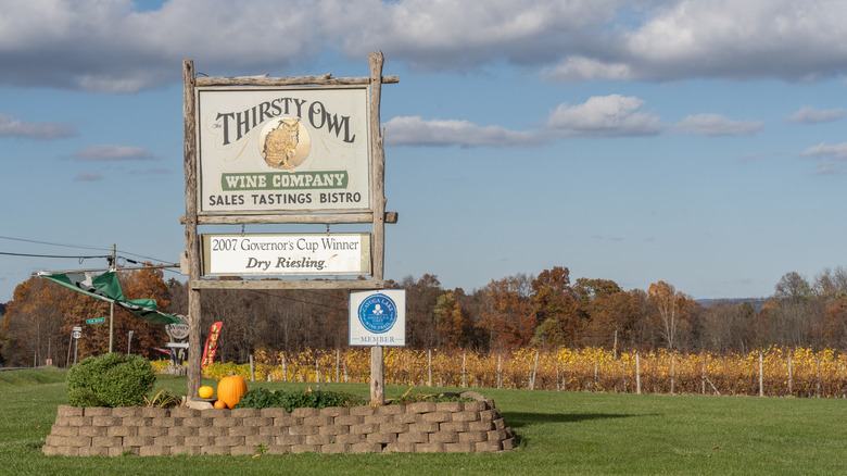 Sign for Thirsty Owl Wine Co. in Ovid, NY