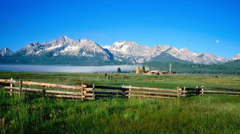 Staley, Idaho farm with a mountain backdrop