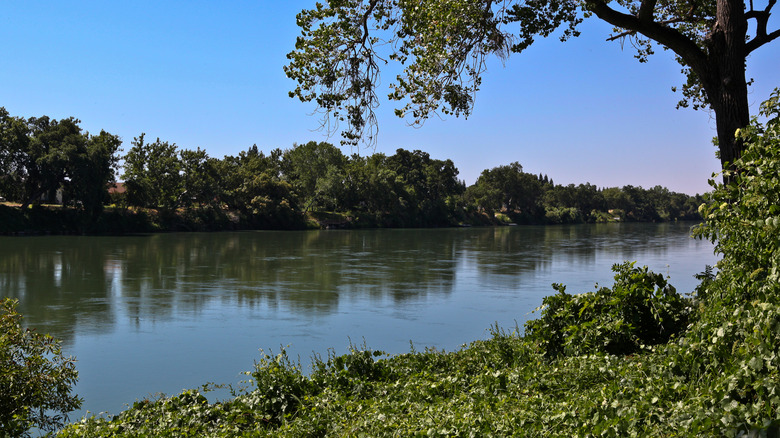 picture of scenic area with river for Red Bluff