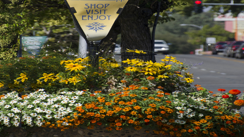 picture of welcome sign in Red Buff, California