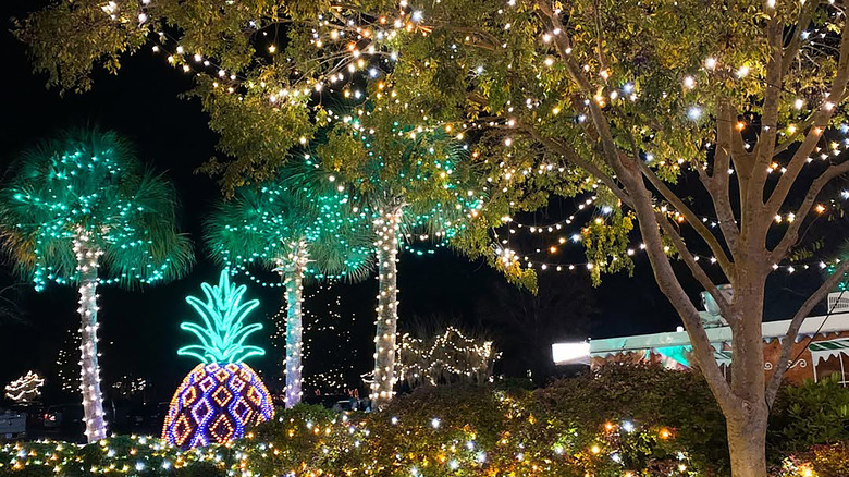 Illuminated tree display at Charleston, South Carolina's Holiday Festival of Lights