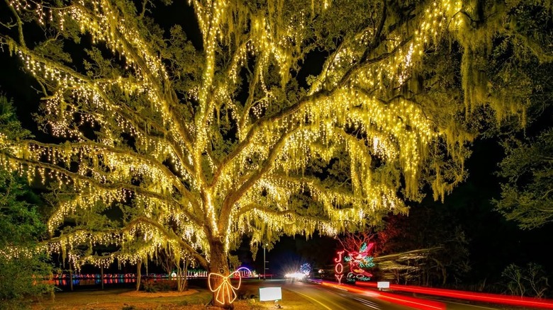 Christmas tree light display at Charleston, South Carolina's Holiday Festival of Lights