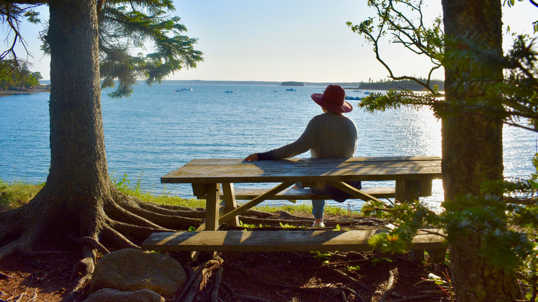 Man sits at picnic table at Roque Bluffs State Park