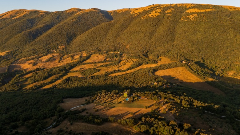 Aerial view of Villa Torre surrounded by lush hillside