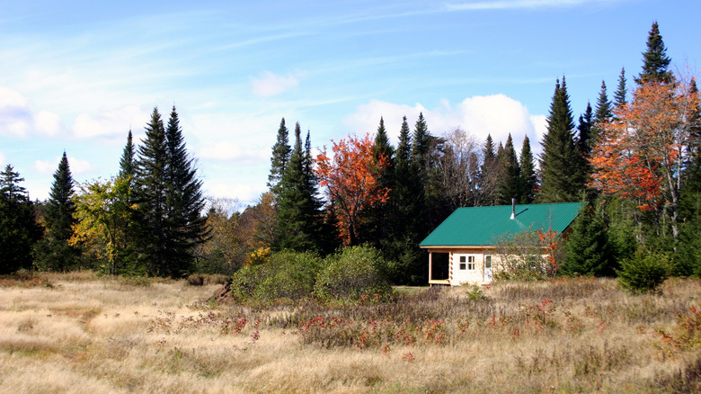 Northwood Meadows State Park camping cabin