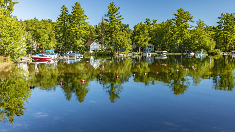 Northwood Bow Lake forest reflection