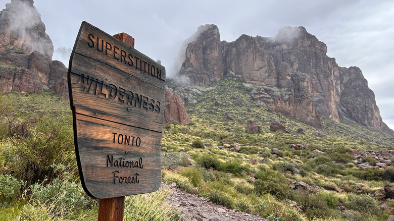 Mist and clouds with a sign that says "Tonto National Forest"