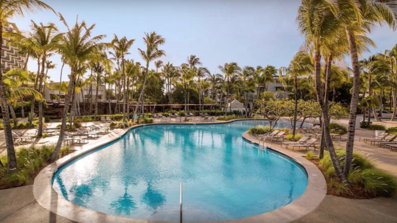 Pool at Hilton Aruba resort