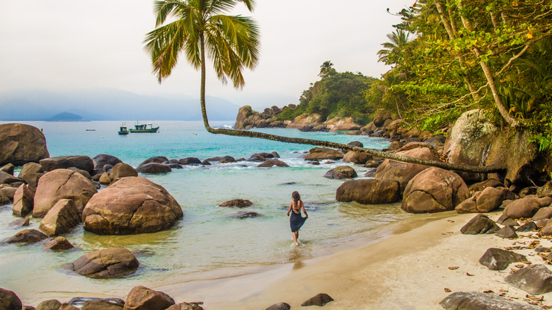 A beach on the island of Ilha Grande, Brazil