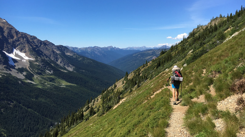 Pasayten Wilderness Boundary Trail section