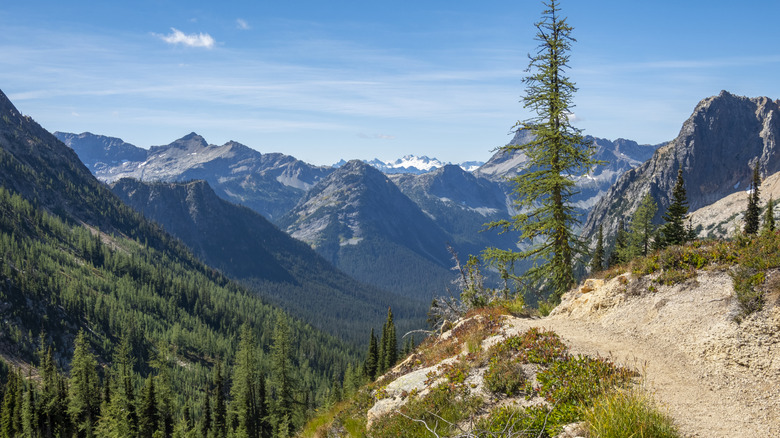 trail through the North Cascades in Washington