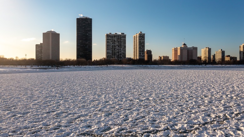 Foster Avenue Beach with skyline