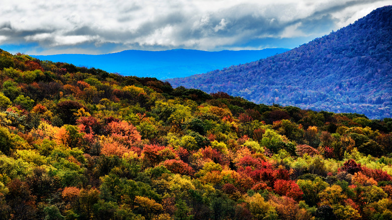 greenbrier valley mountain views