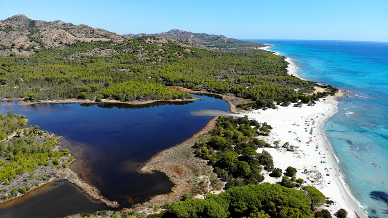 Bidderosa Beach aerial view