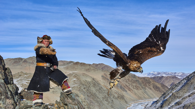 Kazakh eagle hunter