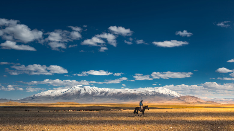 Mongolian steppe rider