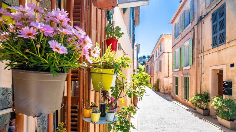 The charming downtown of Cassis