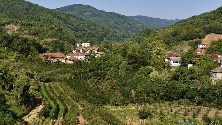 Serbian countryside