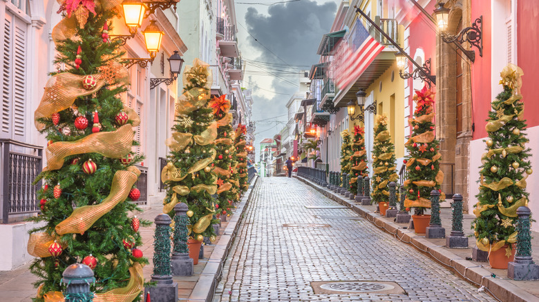 cobblestone street lined with Christmas trees in San Juan, Puerto Rico