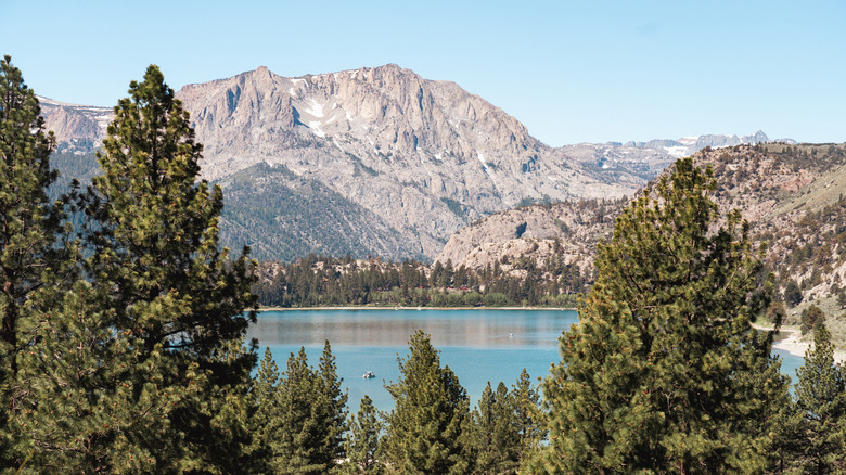 View of a lake in Mammoth Lakes with mountains in backdrop