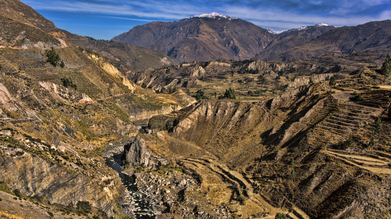 The Colca Canyon in Peru.