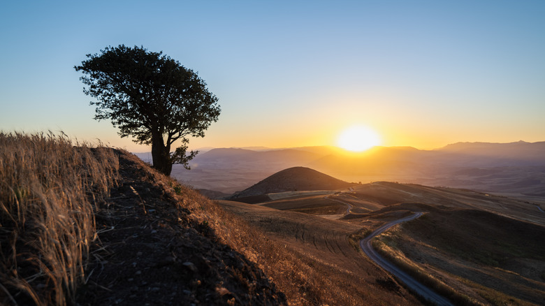 Desert landscape with dunes and sunset in Algeria