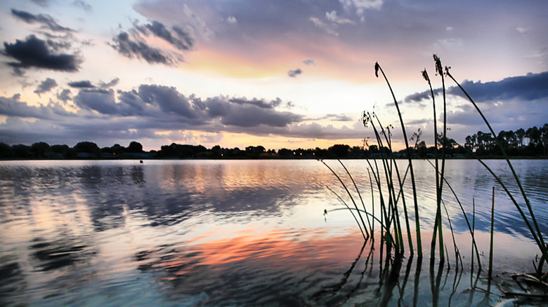 Sunset over water in Kissimmee