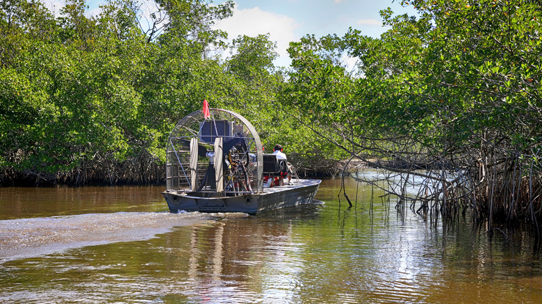 Airboat tour in the Everglades