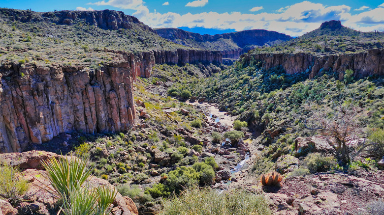 A small river between canyon walls at Monolith Garden Trails in Arizona